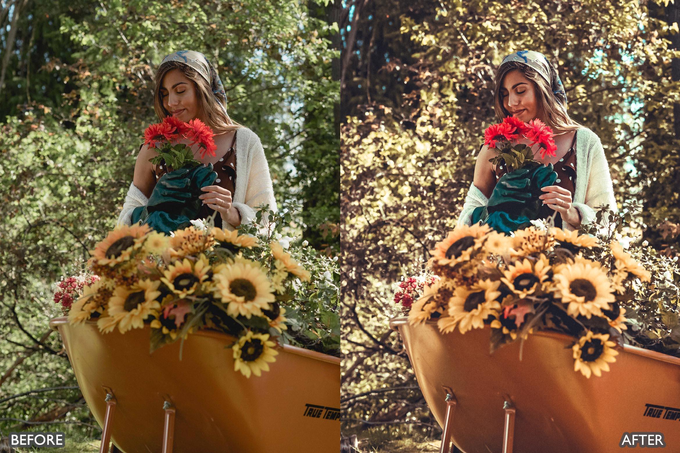 Rustic Nature Look Lightroom Presets - Lightroom Presets - by AAA Presets