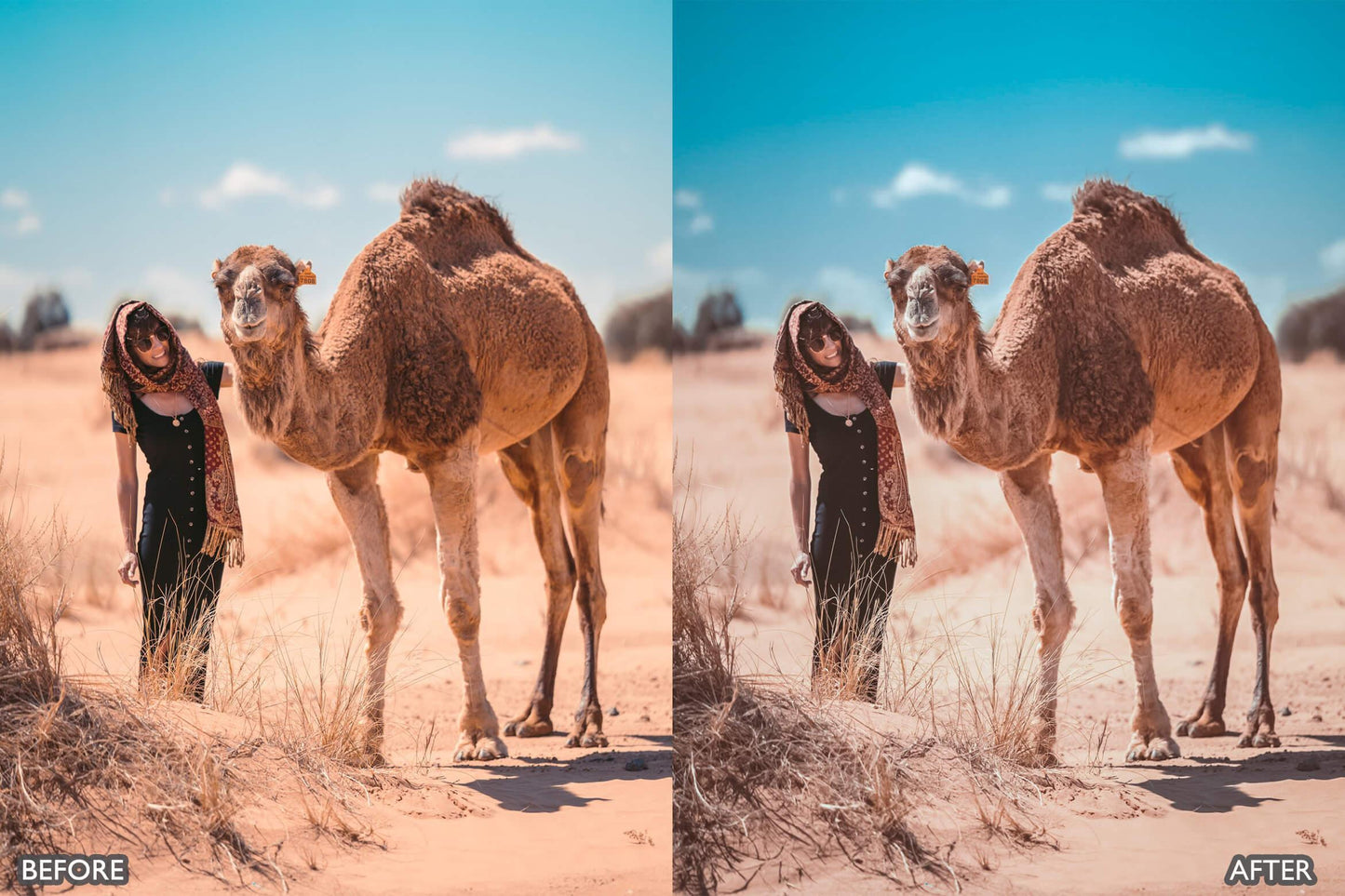 Sahara Desert Lightroom presets - adobe lightroom presets, Blogger presets, Cinematic Presets, cream presets, instagram presets, lightroom presets, Portrait presets, presets before and after, professional lightroom presets, summer presets - aaapresets.com