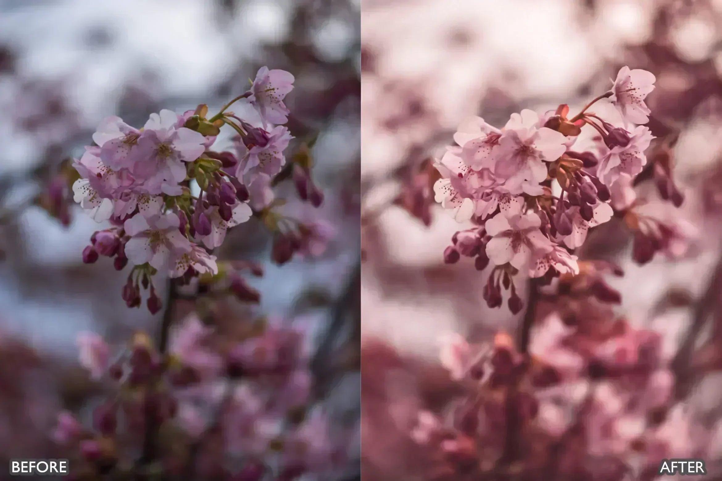 Sakura Rose Gold Lightroom Presets - adobe lightroom presets, Blogger presets, Cinematic Presets, instagram presets, lightroom presets, Minimalist presets, Portrait presets, presets before and after, professional lightroom presets - aaapresets.com