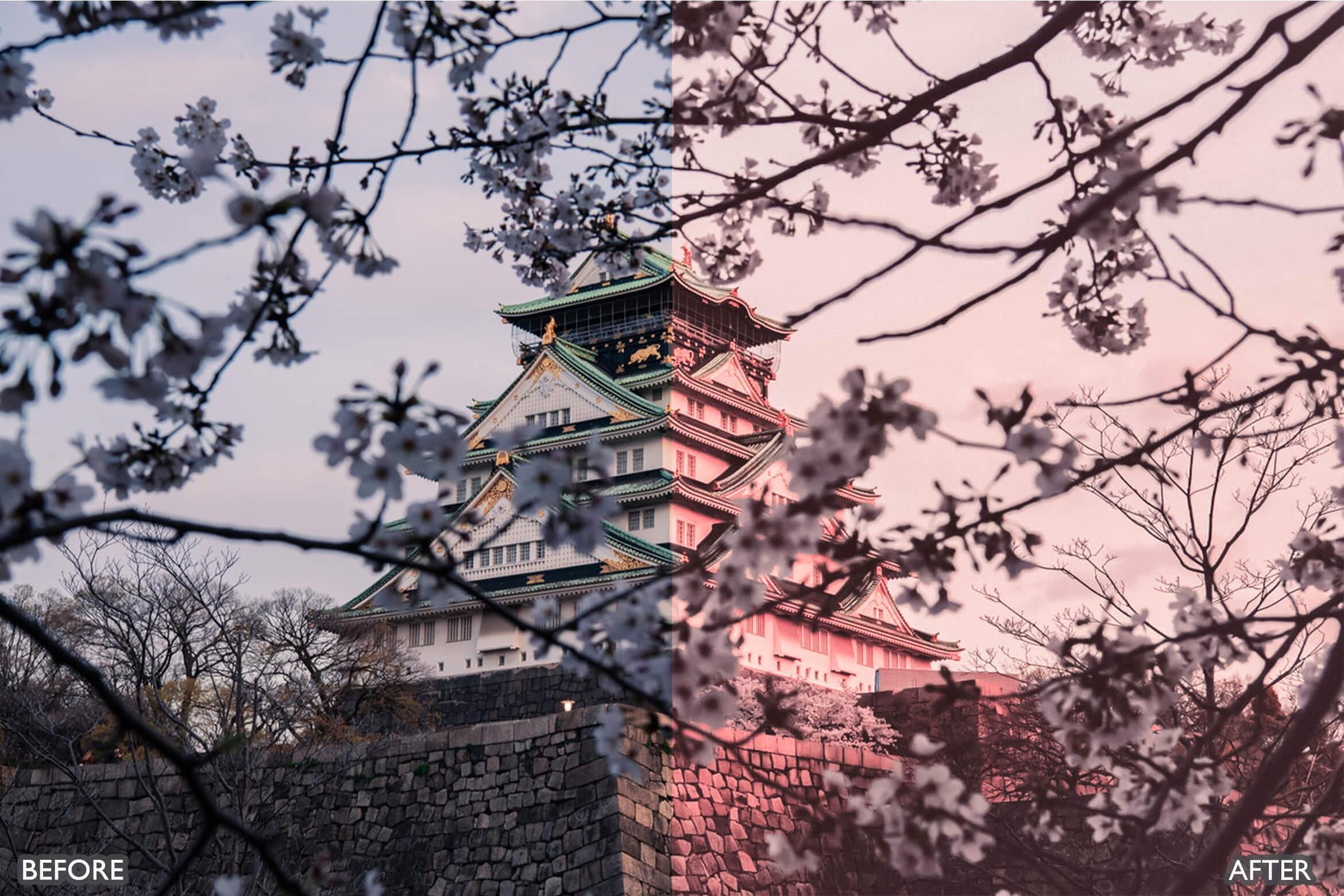 Sakura Rose Gold Lightroom Presets - adobe lightroom presets, Blogger presets, Cinematic Presets, instagram presets, lightroom presets, Minimalist presets, Portrait presets, presets before and after, professional lightroom presets - aaapresets.com