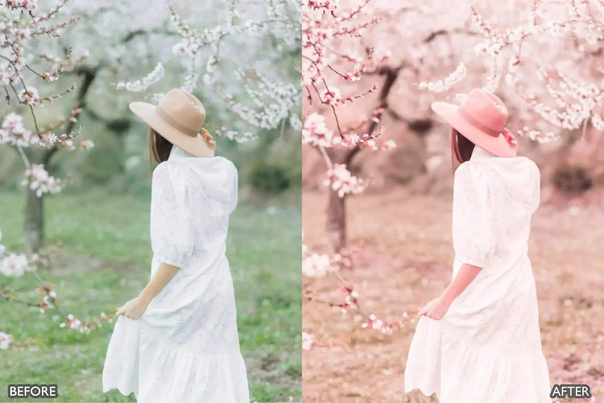 Sakura Rose Gold Lightroom Presets - adobe lightroom presets, Blogger presets, Cinematic Presets, instagram presets, lightroom presets, Minimalist presets, Portrait presets, presets before and after, professional lightroom presets - aaapresets.com