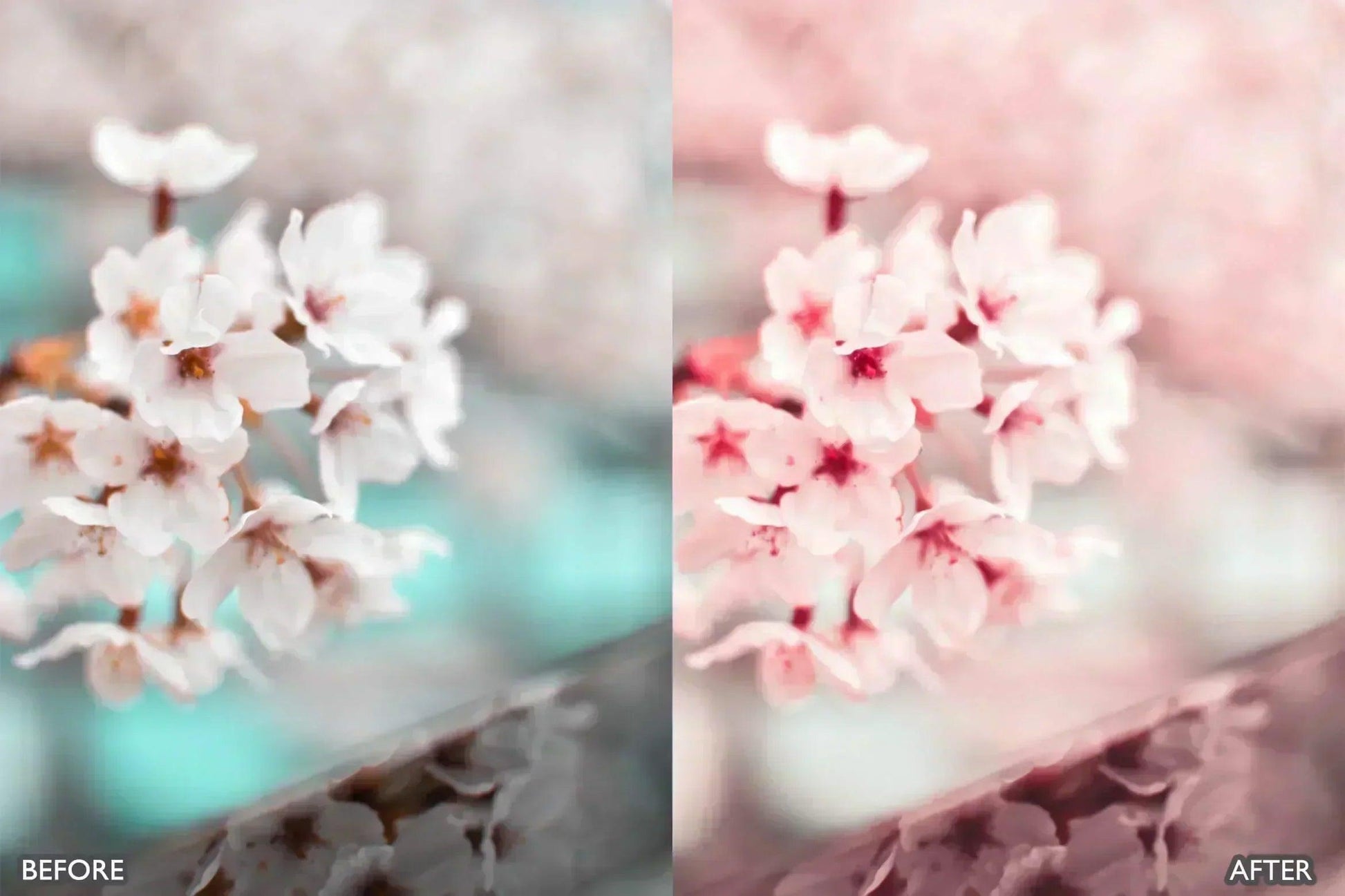 Sakura Rose Gold Lightroom Presets - adobe lightroom presets, Blogger presets, Cinematic Presets, instagram presets, lightroom presets, Minimalist presets, Portrait presets, presets before and after, professional lightroom presets - aaapresets.com