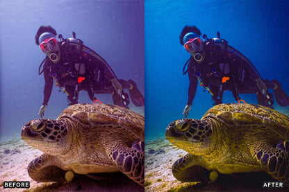 Scuba Diving Lightroom Presets Pack - Cinematic photo effects, Cinematic Presets, Digital photography, HDR Lightroom presets, HDR presets, landscape presets, Lightroom CC presets, Lightroom classic presets, Lightroom editing, Lightroom mobile presets, lightroom presets - aaapresets.com