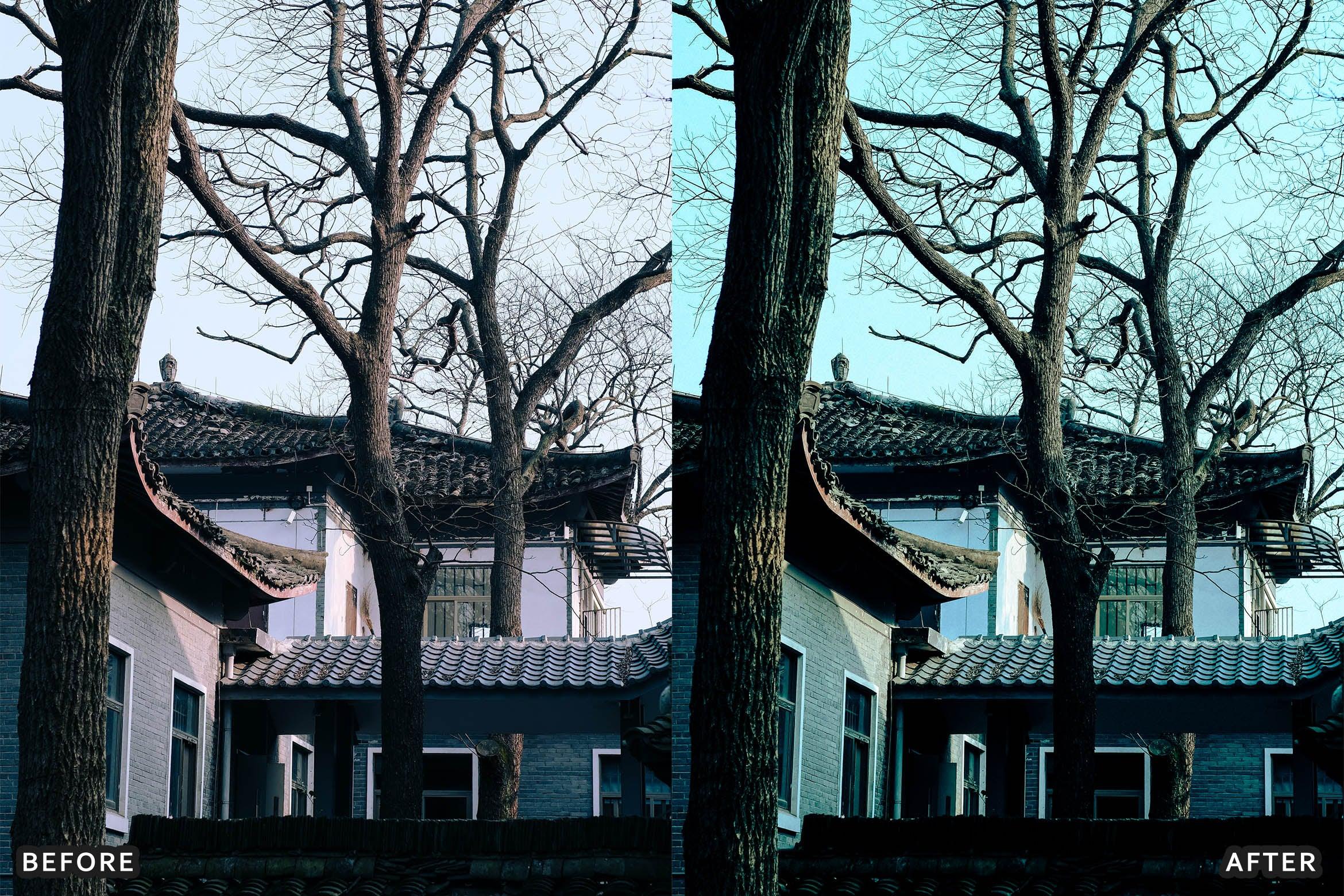 Snow & Winter Presets for Lightroom - Lightroom Presets - by AAA Presets