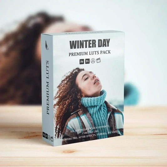 Snow Winter Cinematic Video LUTs Pack - Cinematic LUTs Pack, Color Grading Video Presets, Luts For Premier Pro Final Cut Pro, Premium FILM LUTs, Premium LUTs - aaapresets.com