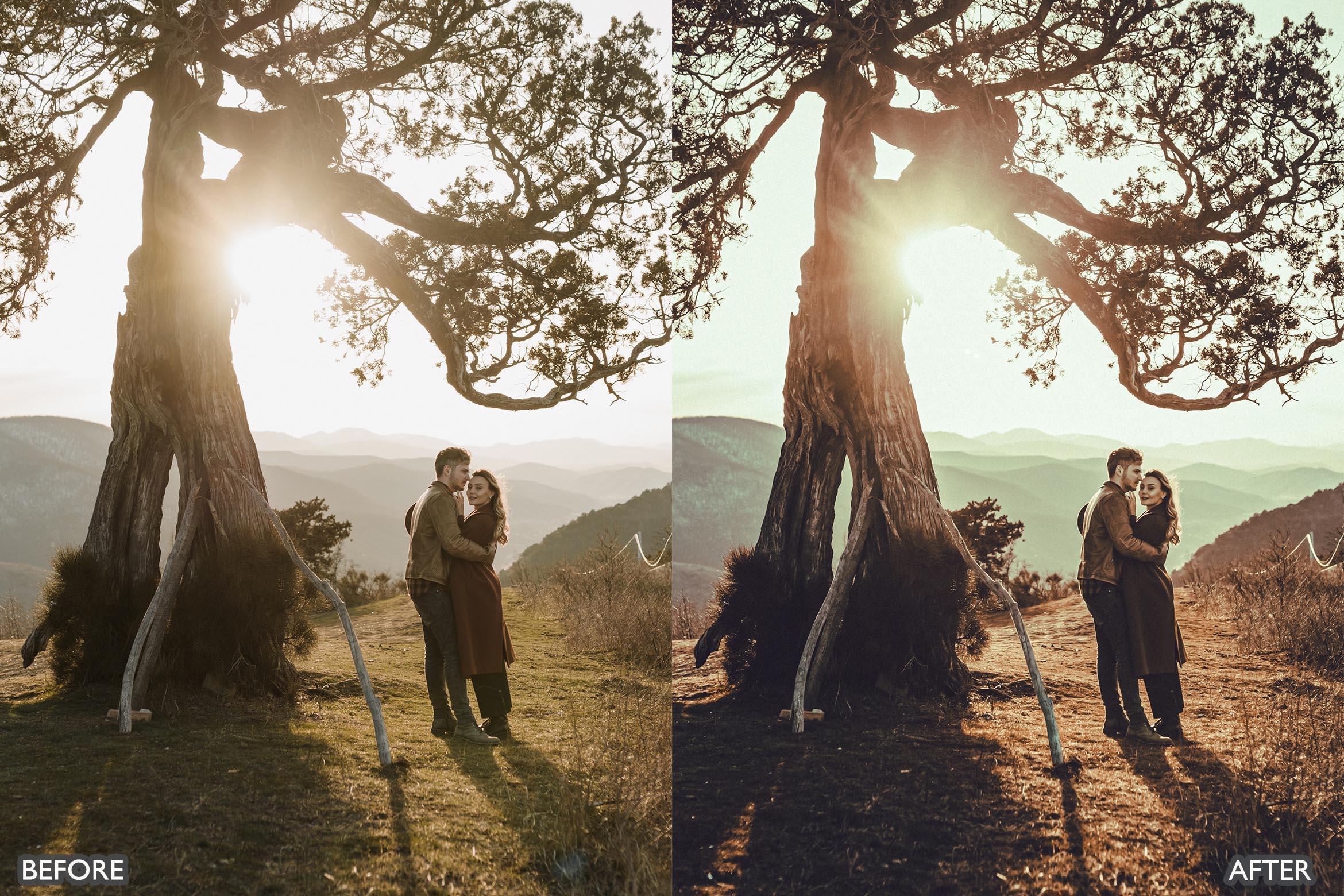 Spring Moody Brown Lightroom presets - Lightroom Presets - by AAA Presets