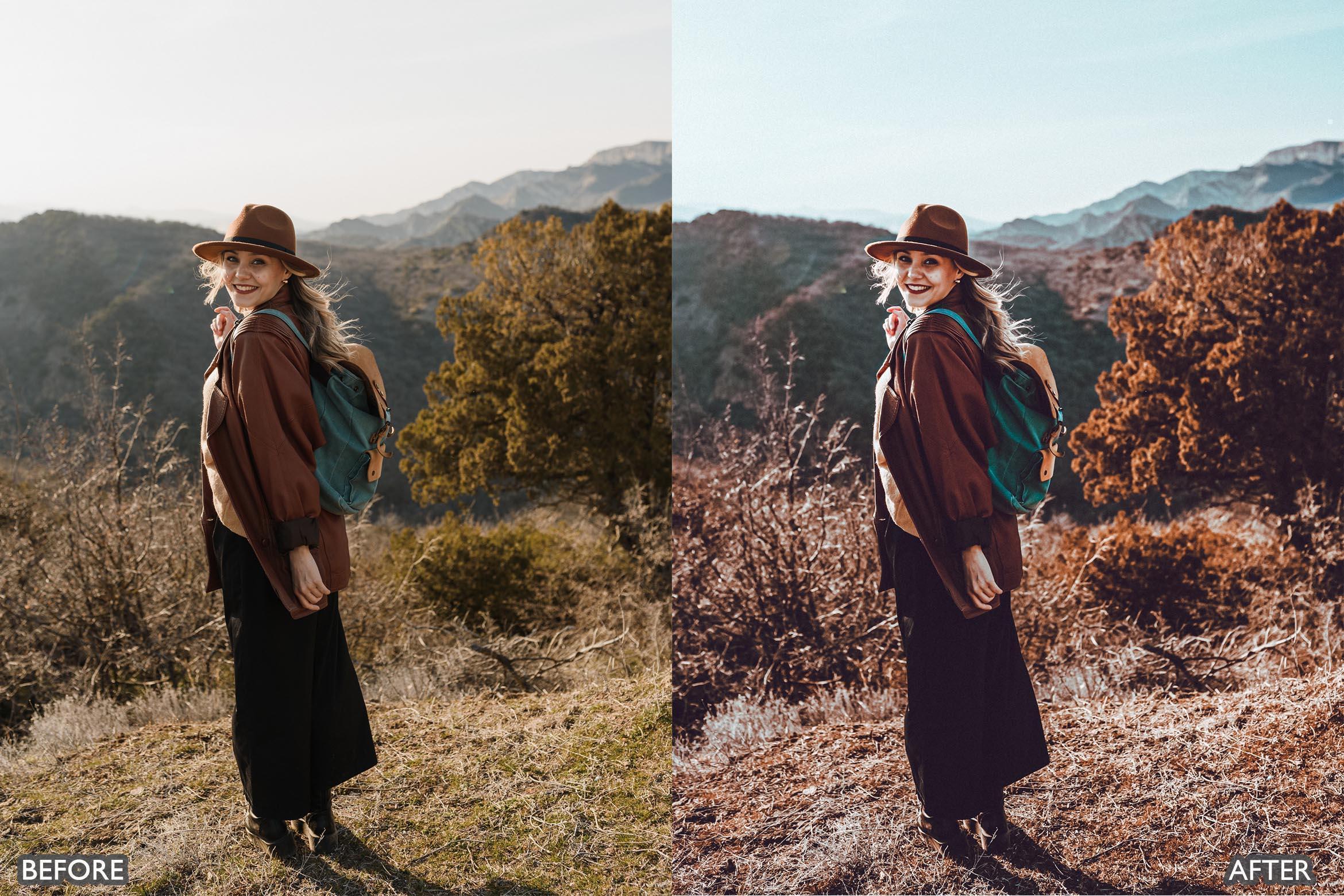 Spring Moody Brown Lightroom presets - Lightroom Presets - by AAA Presets