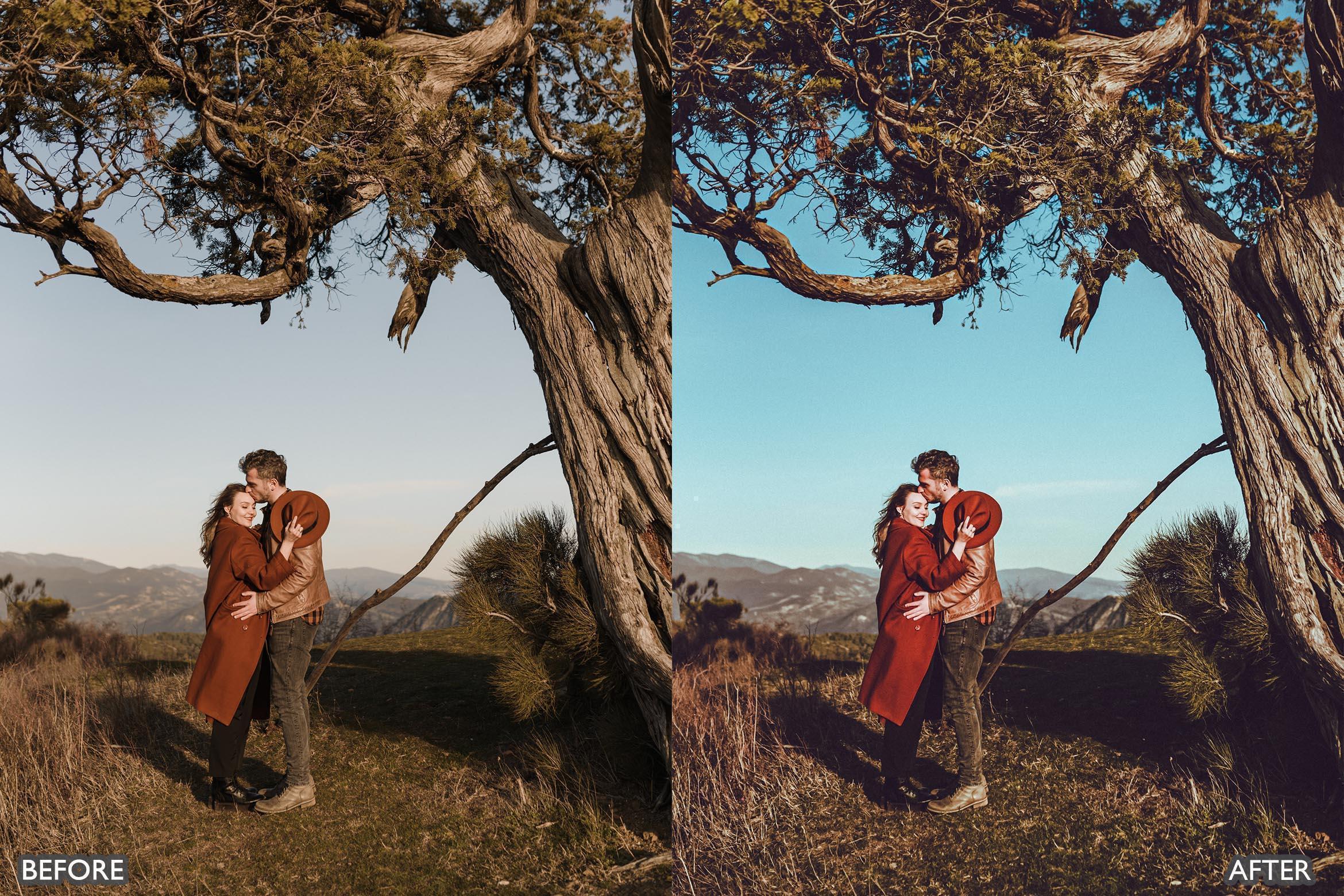 Spring Moody Brown Lightroom presets - Lightroom Presets - by AAA Presets