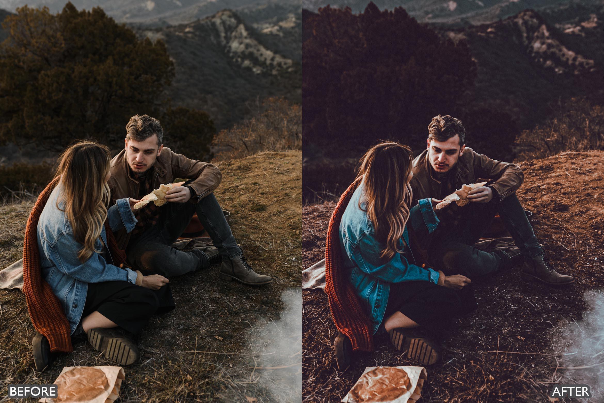 Spring Moody Brown Lightroom presets - Lightroom Presets - by AAA Presets