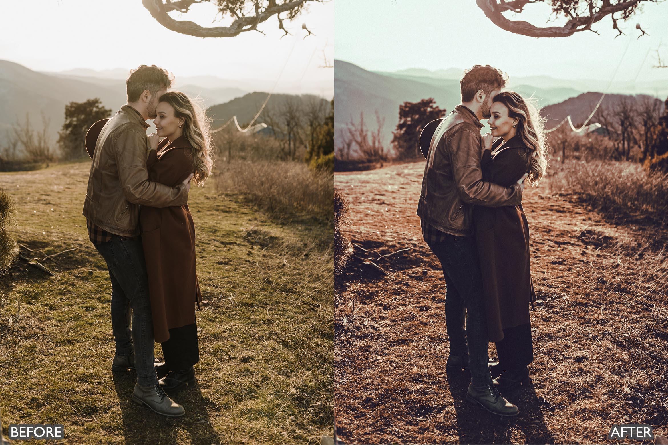 Spring Moody Brown Lightroom presets - Lightroom Presets - by AAA Presets