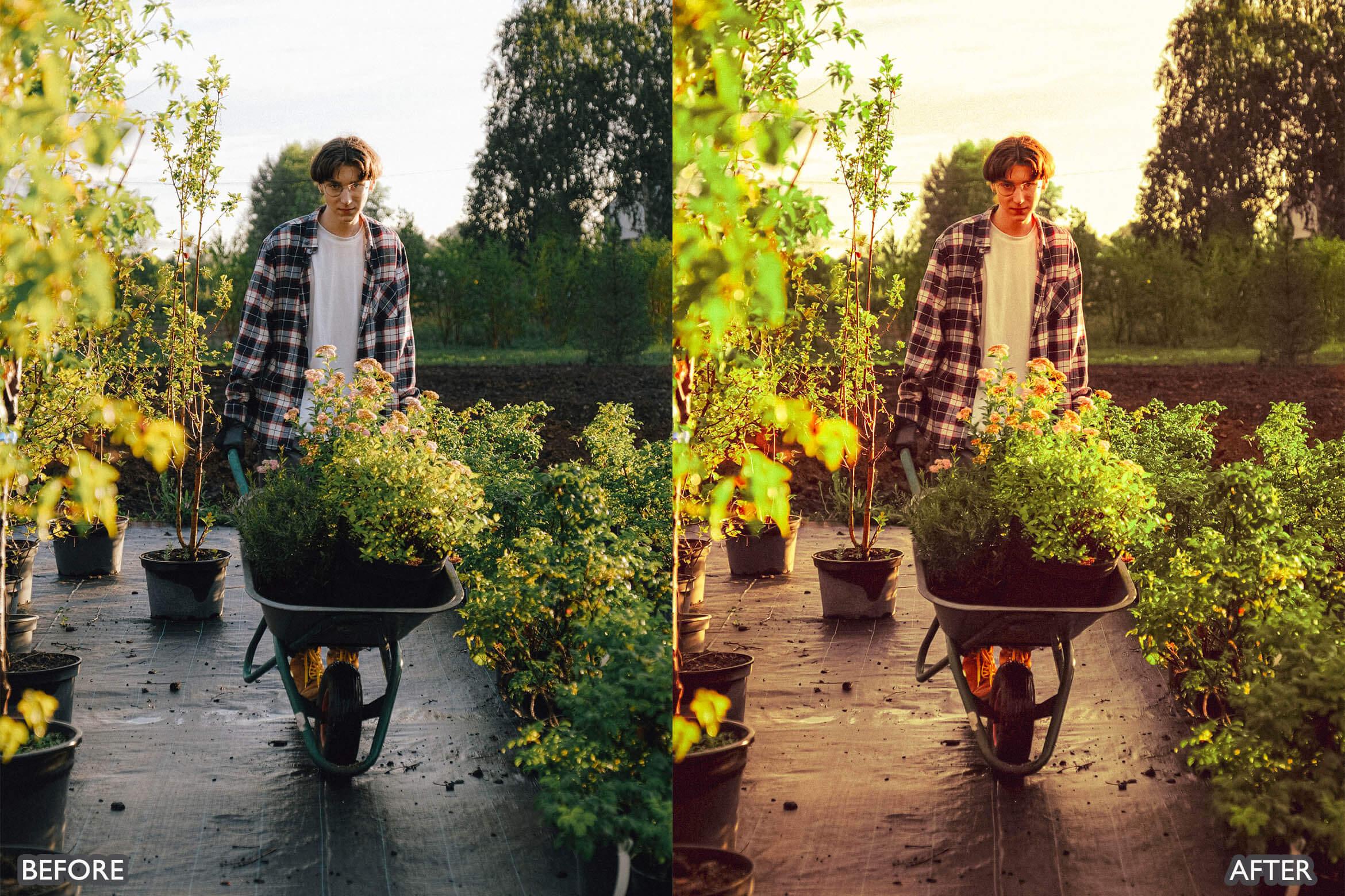 Steal Film Cinematic Look Lightroom Presets - Lightroom Presets - by AAA Presets