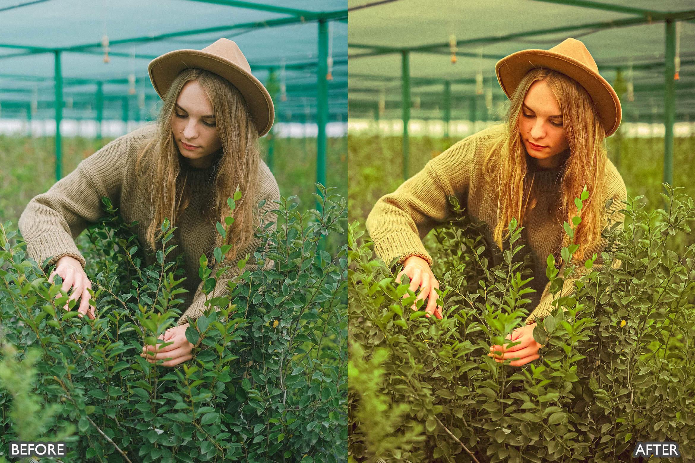 Steal Film Cinematic Look Lightroom Presets - Lightroom Presets - by AAA Presets