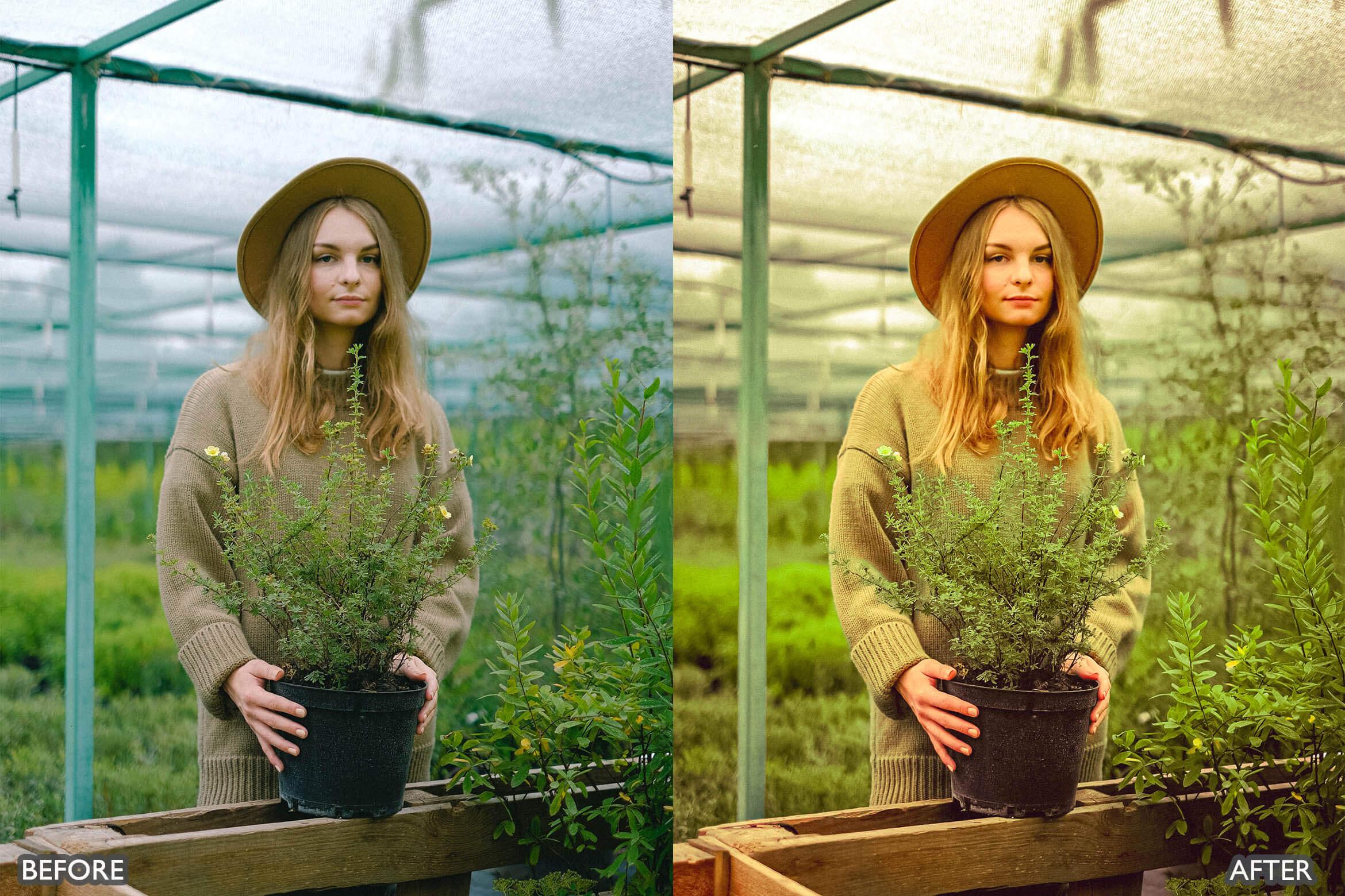 Steal Film Cinematic Look Lightroom Presets - Lightroom Presets - by AAA Presets