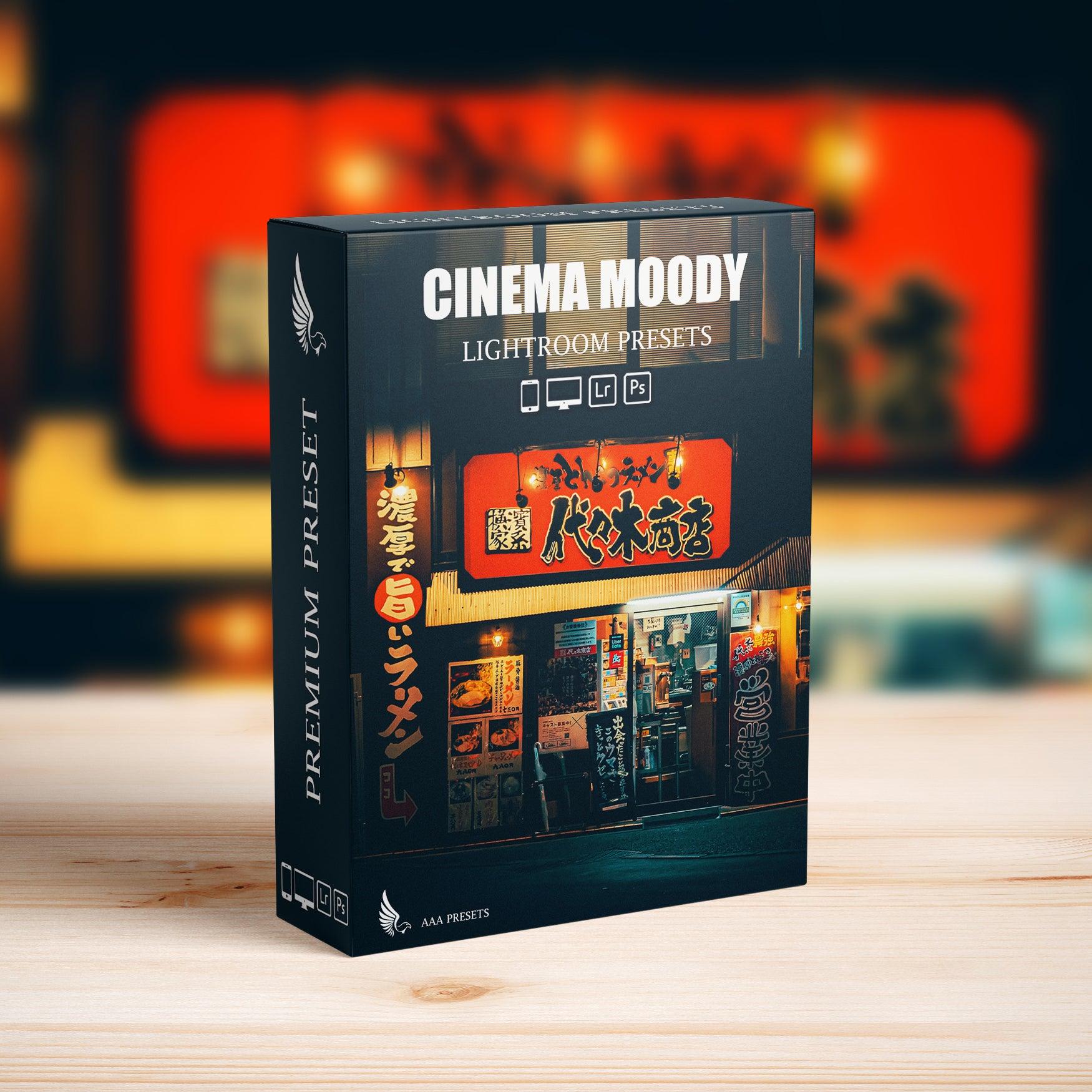Street Cinematic Dark Moody Photography Lightroom Presets - Lightroom Presets - by AAA Presets