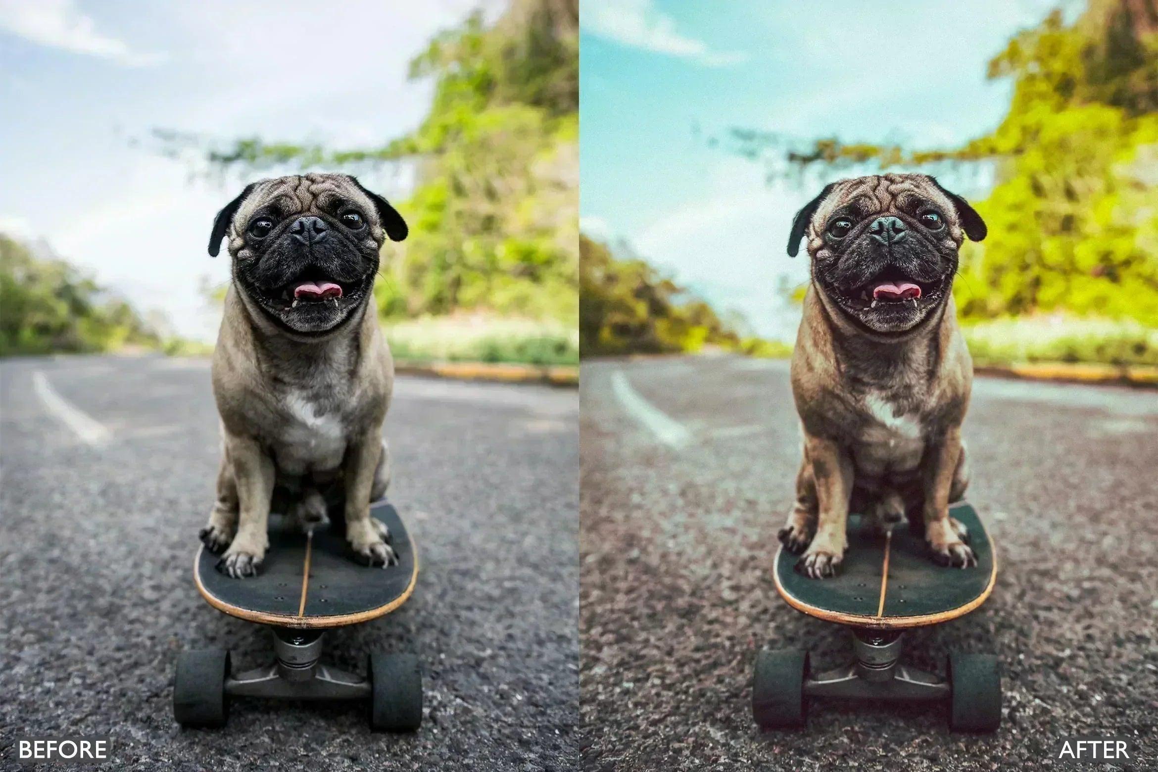 Summer Vibes Retro Lightroom Presets - Lightroom Presets - by AAA Presets