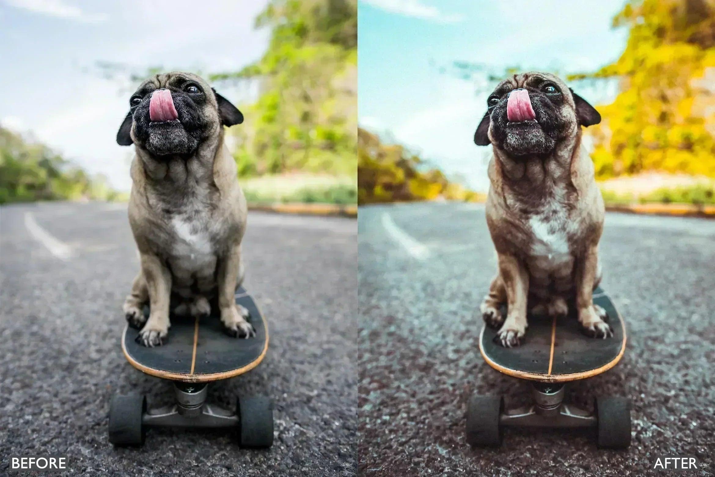 Summer Vibes Retro Lightroom Presets - Lightroom Presets - by AAA Presets