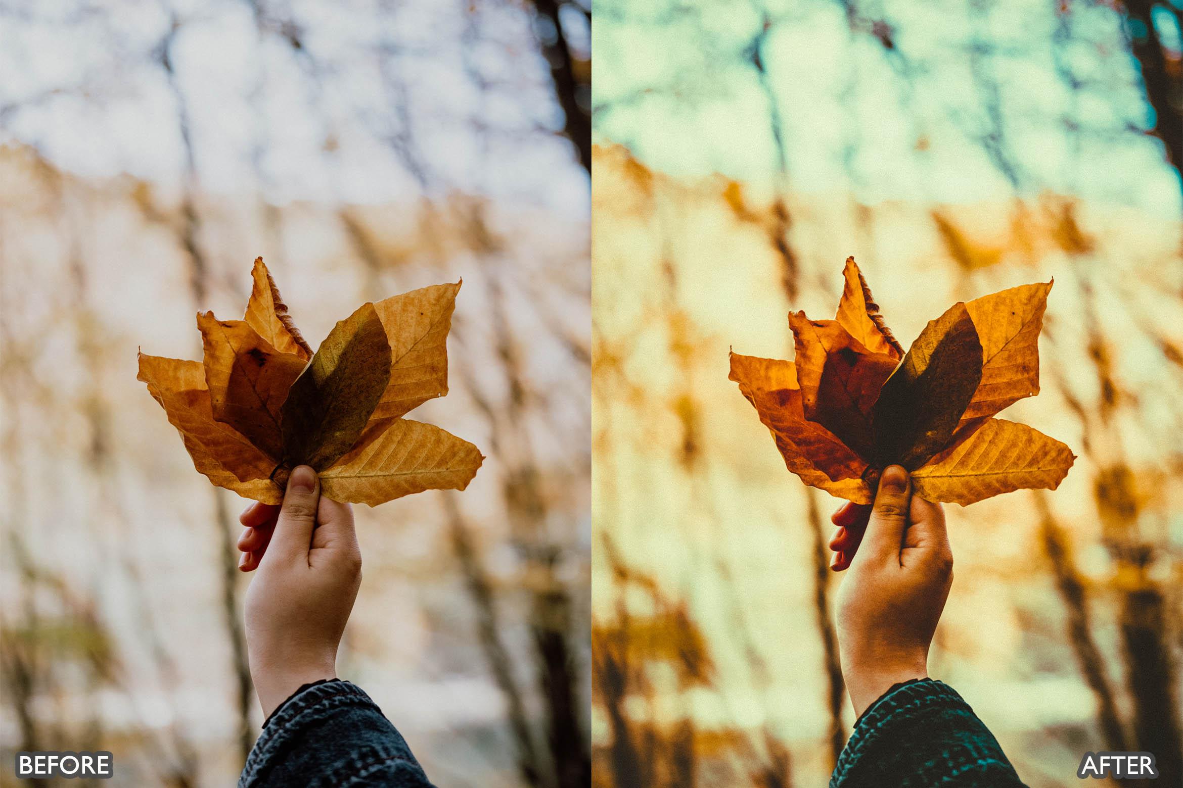 The Vibrant Fall Presets For Lightroom Autumn Photos - Lightroom Presets - by AAA Presets