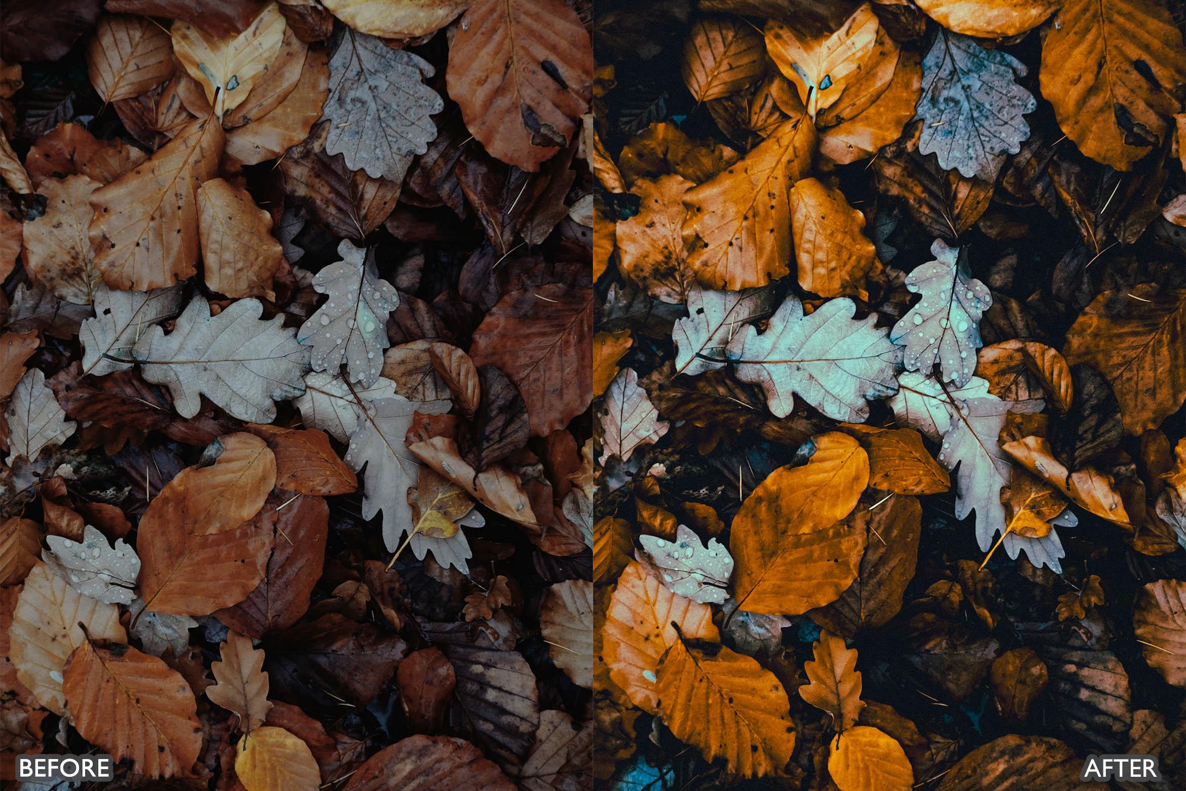 The Vibrant Fall Presets For Lightroom Autumn Photos - Lightroom Presets - by AAA Presets