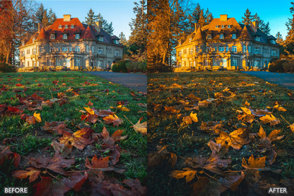 The Vibrant Fall Presets For Lightroom Autumn Photos - adobe lightroom presets, Blogger presets, bright presets, brown presets, Cinematic Presets, Fall Presets, HDR presets, instagram presets, landscape presets, lightroom presets, moody presets, Nature presets, newborn presets, presets before and after, professional lightroom presets - aaapresets.com