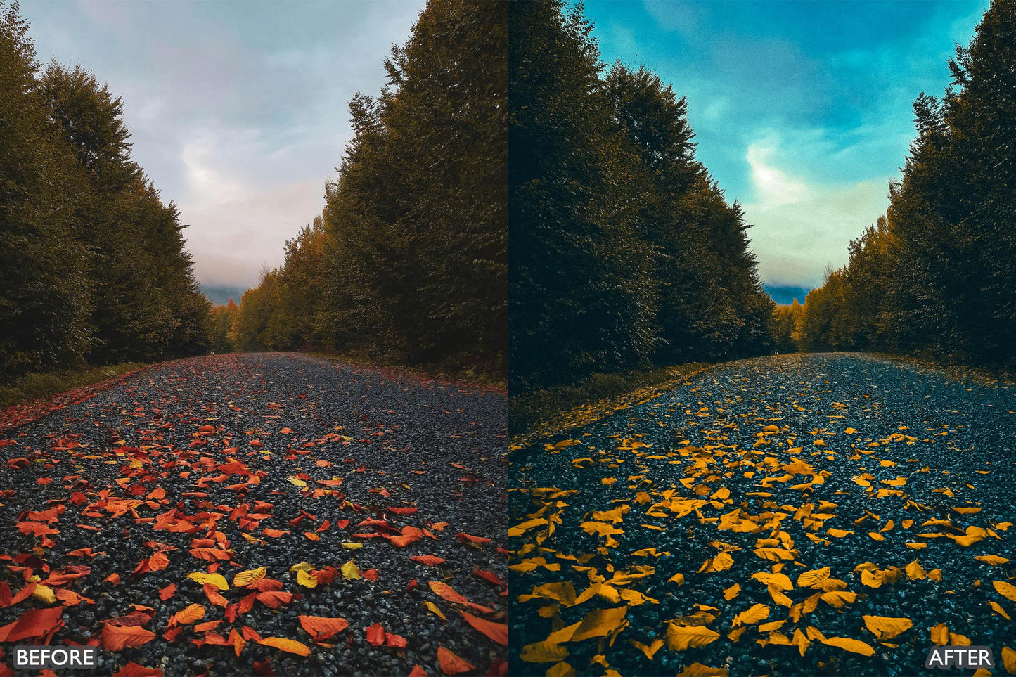 The Vibrant Fall Presets For Lightroom Autumn Photos - adobe lightroom presets, Blogger presets, bright presets, brown presets, Cinematic Presets, Fall Presets, HDR presets, instagram presets, landscape presets, lightroom presets, moody presets, Nature presets, newborn presets, presets before and after, professional lightroom presets - aaapresets.com