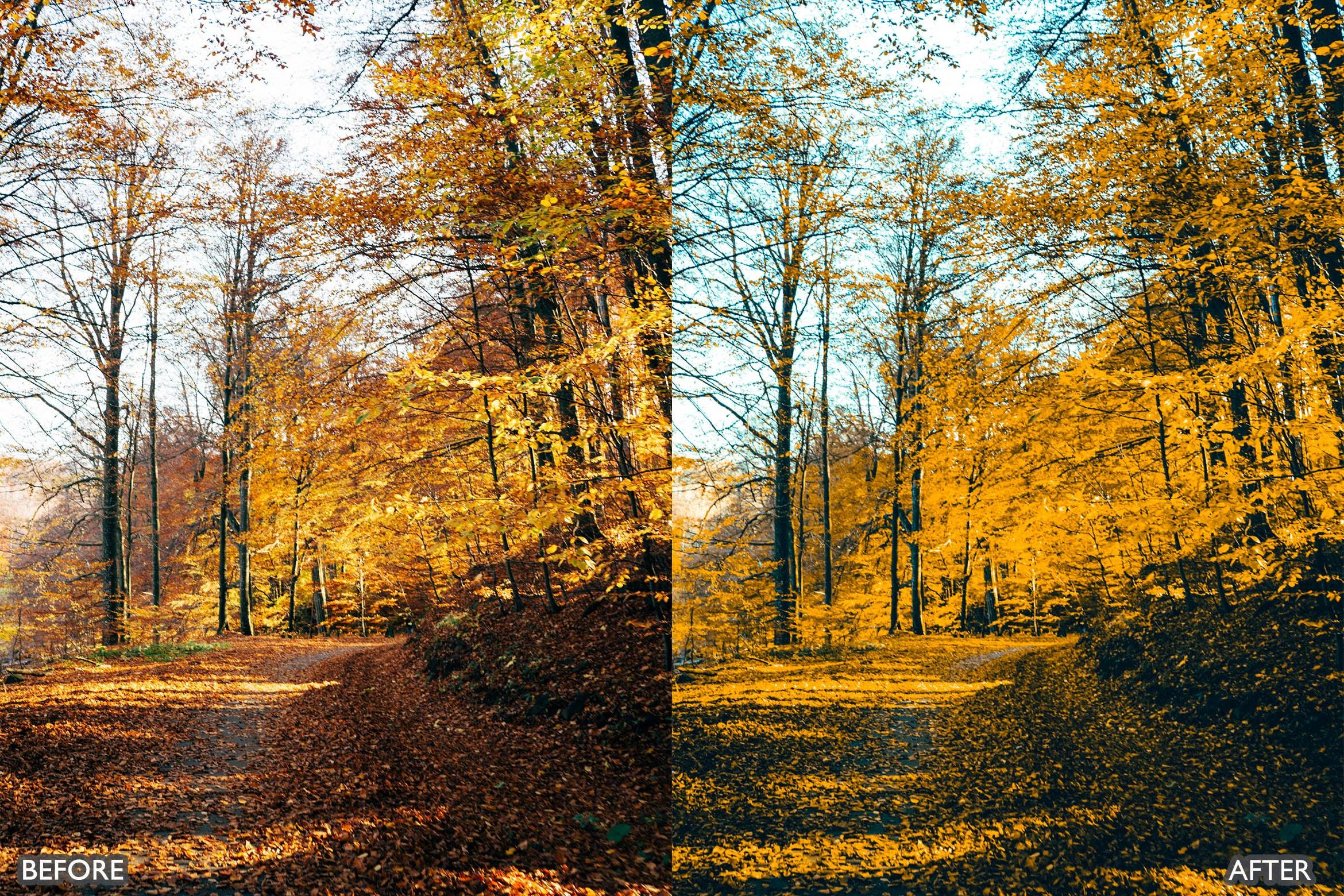 The Vibrant Fall Presets For Lightroom Autumn Photos - Lightroom Presets - by AAA Presets