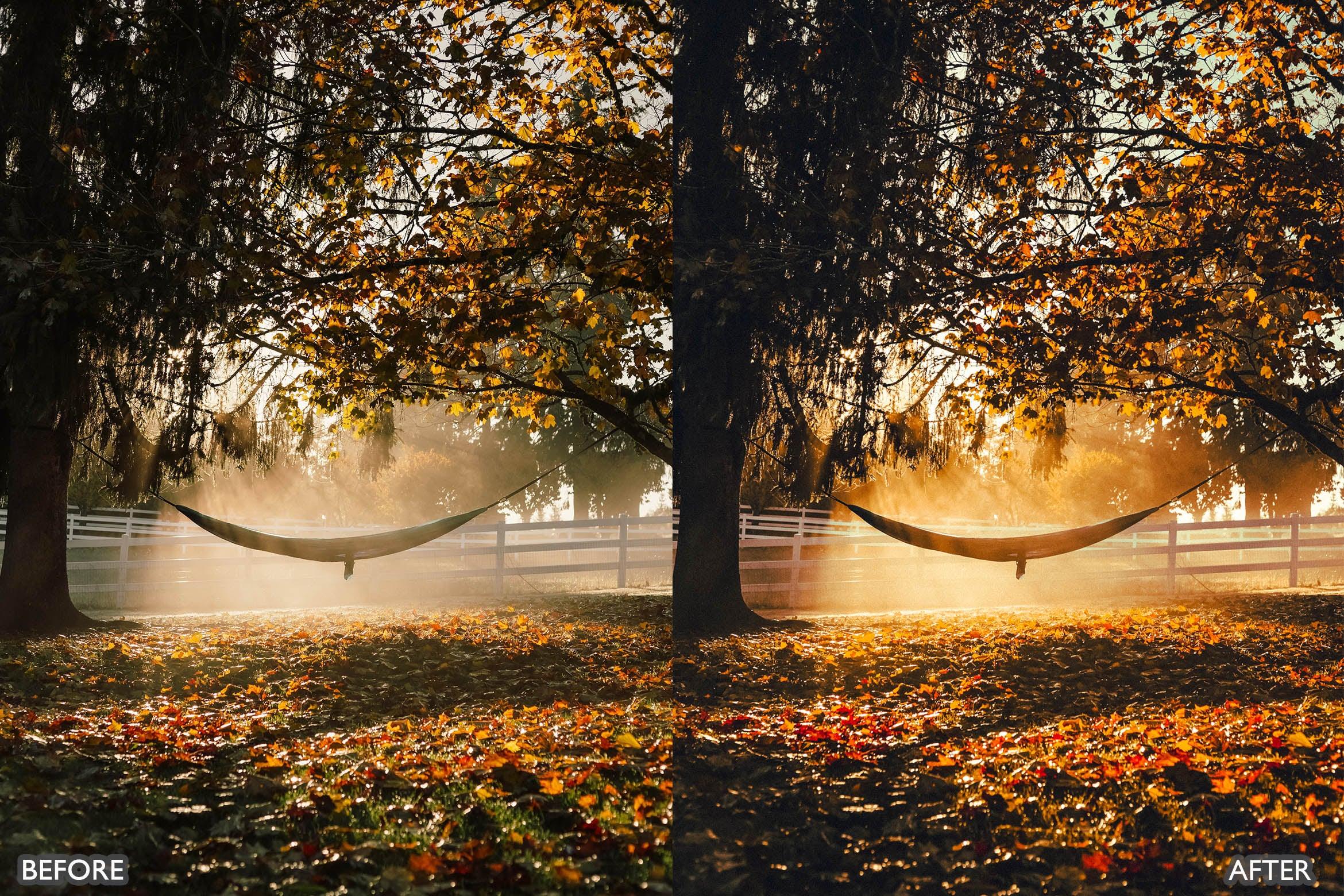 The Vibrant Fall Presets For Lightroom Autumn Photos - Lightroom Presets - by AAA Presets
