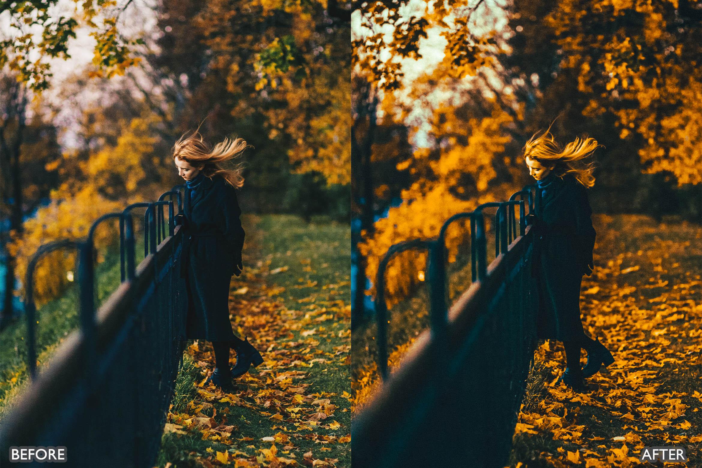 The Vibrant Fall Presets For Lightroom Autumn Photos - Lightroom Presets - by AAA Presets