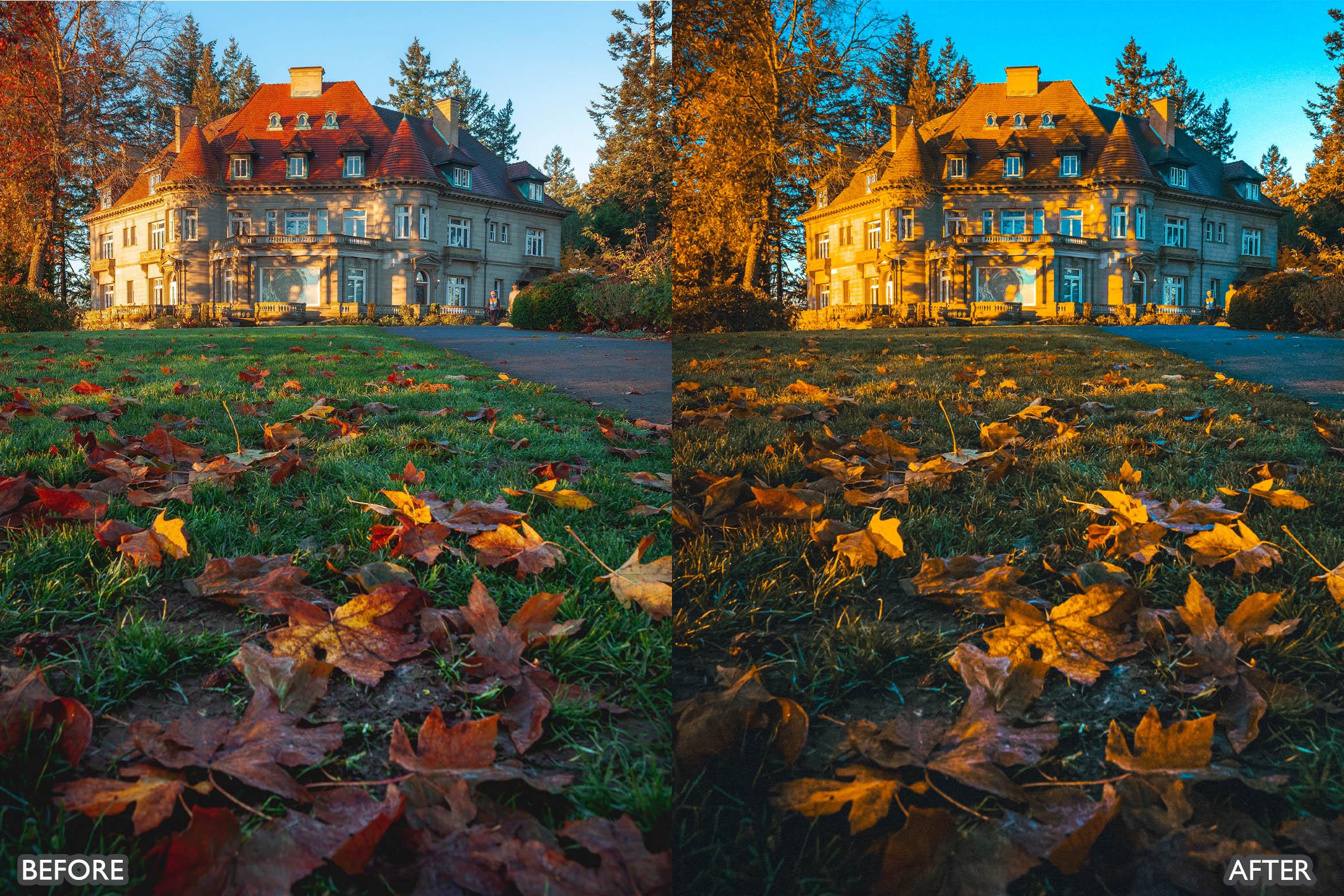 The Vibrant Fall Presets For Lightroom Autumn Photos - Lightroom Presets - by AAA Presets