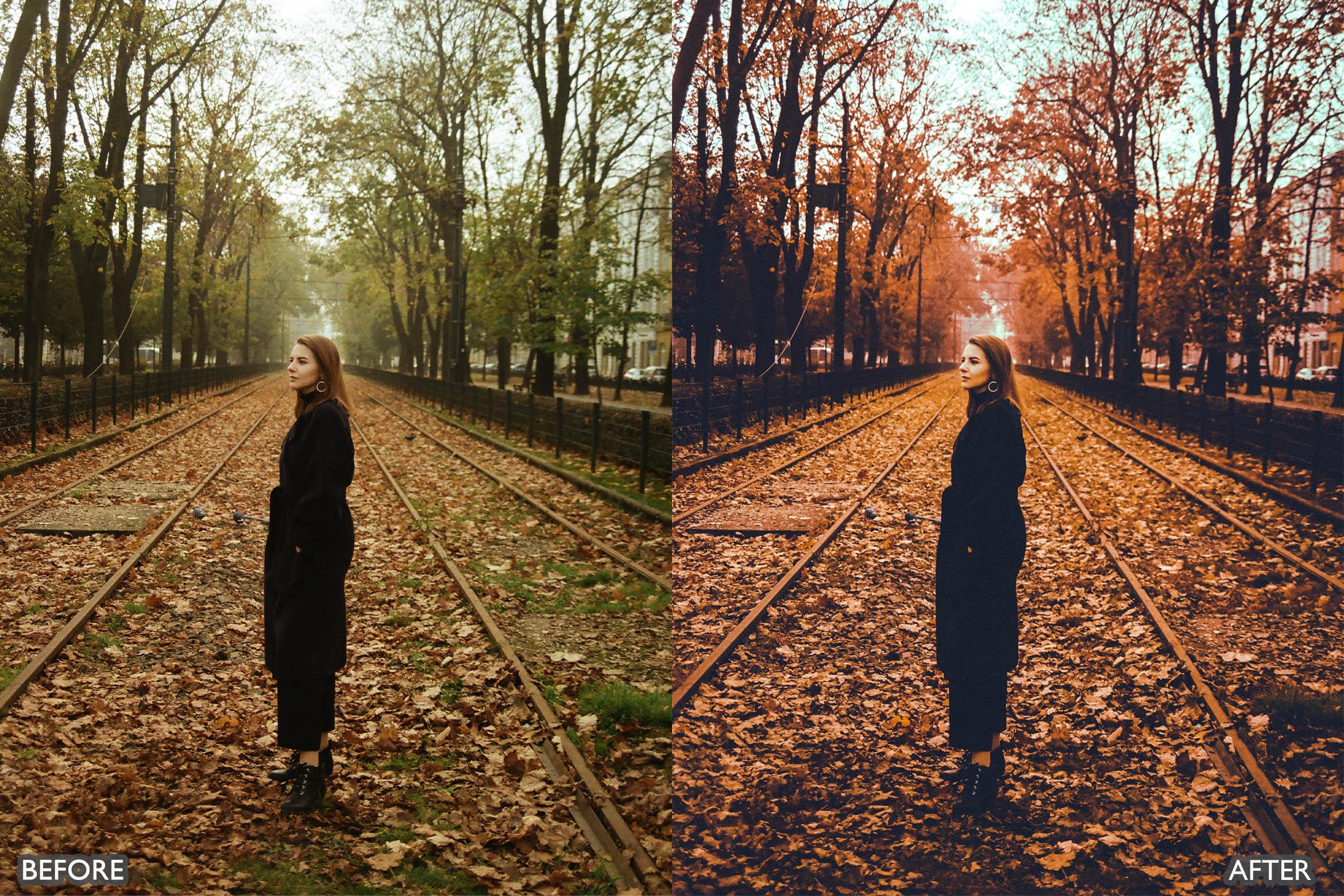 The Vibrant Fall Presets For Lightroom Autumn Photos - Lightroom Presets - by AAA Presets