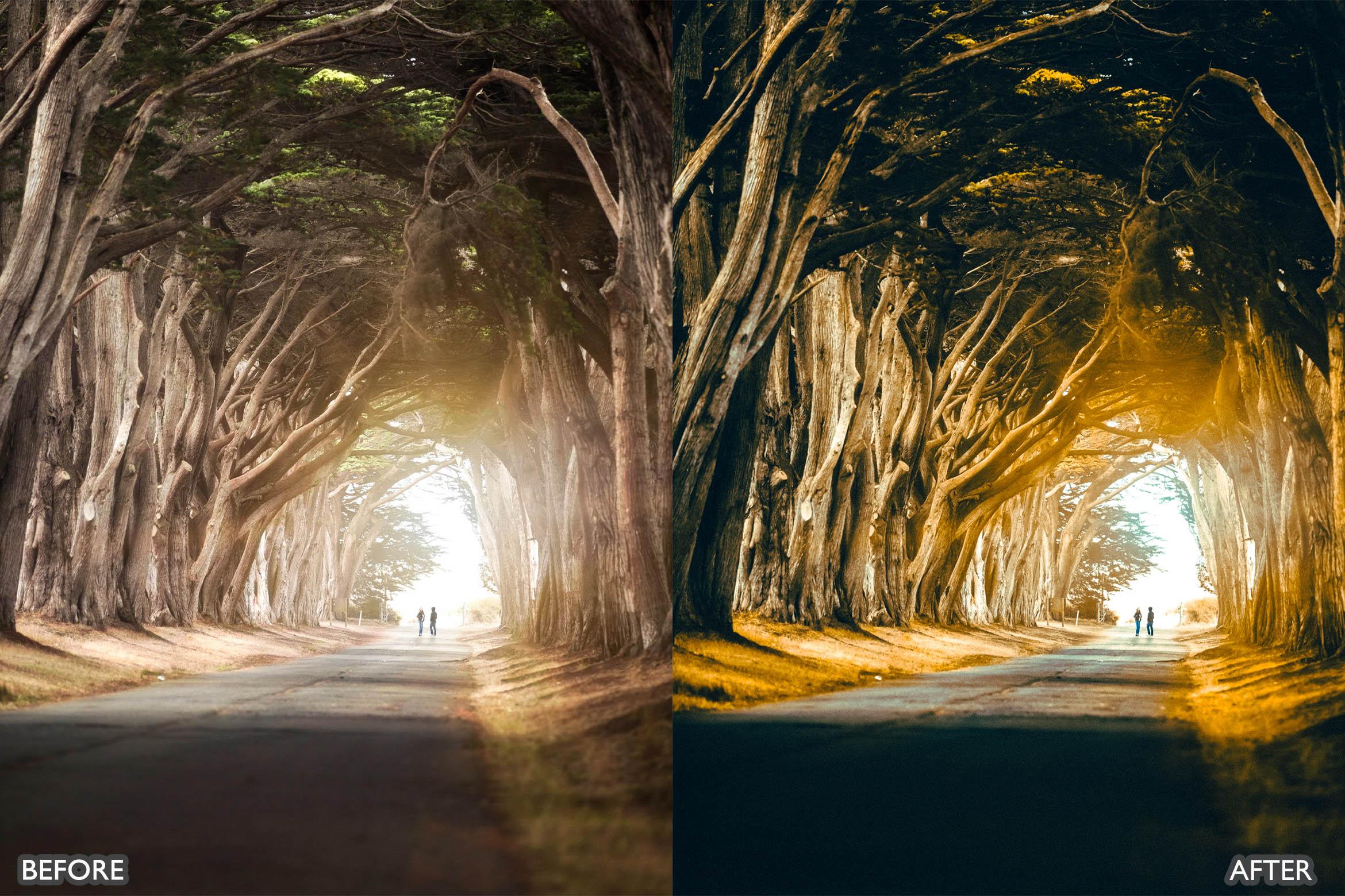 The Vibrant Fall Presets For Lightroom Autumn Photos - Lightroom Presets - by AAA Presets