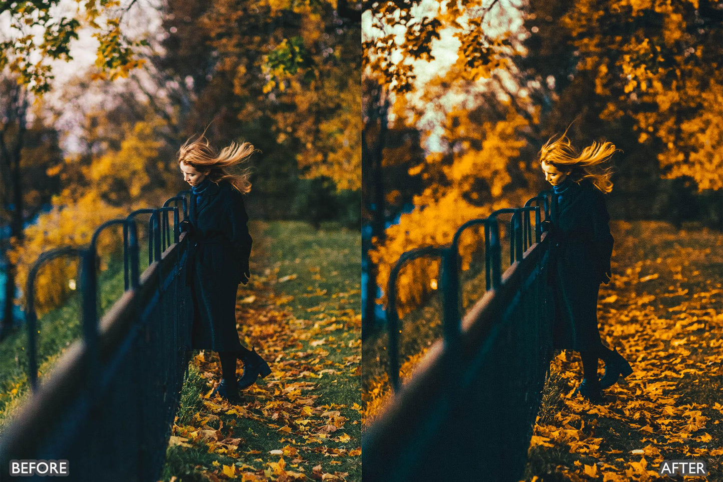 The Vibrant Fall Presets For Lightroom Autumn Photos - adobe lightroom presets, Blogger presets, bright presets, brown presets, Cinematic Presets, Fall Presets, HDR presets, instagram presets, landscape presets, lightroom presets, moody presets, Nature presets, newborn presets, presets before and after, professional lightroom presets - aaapresets.com