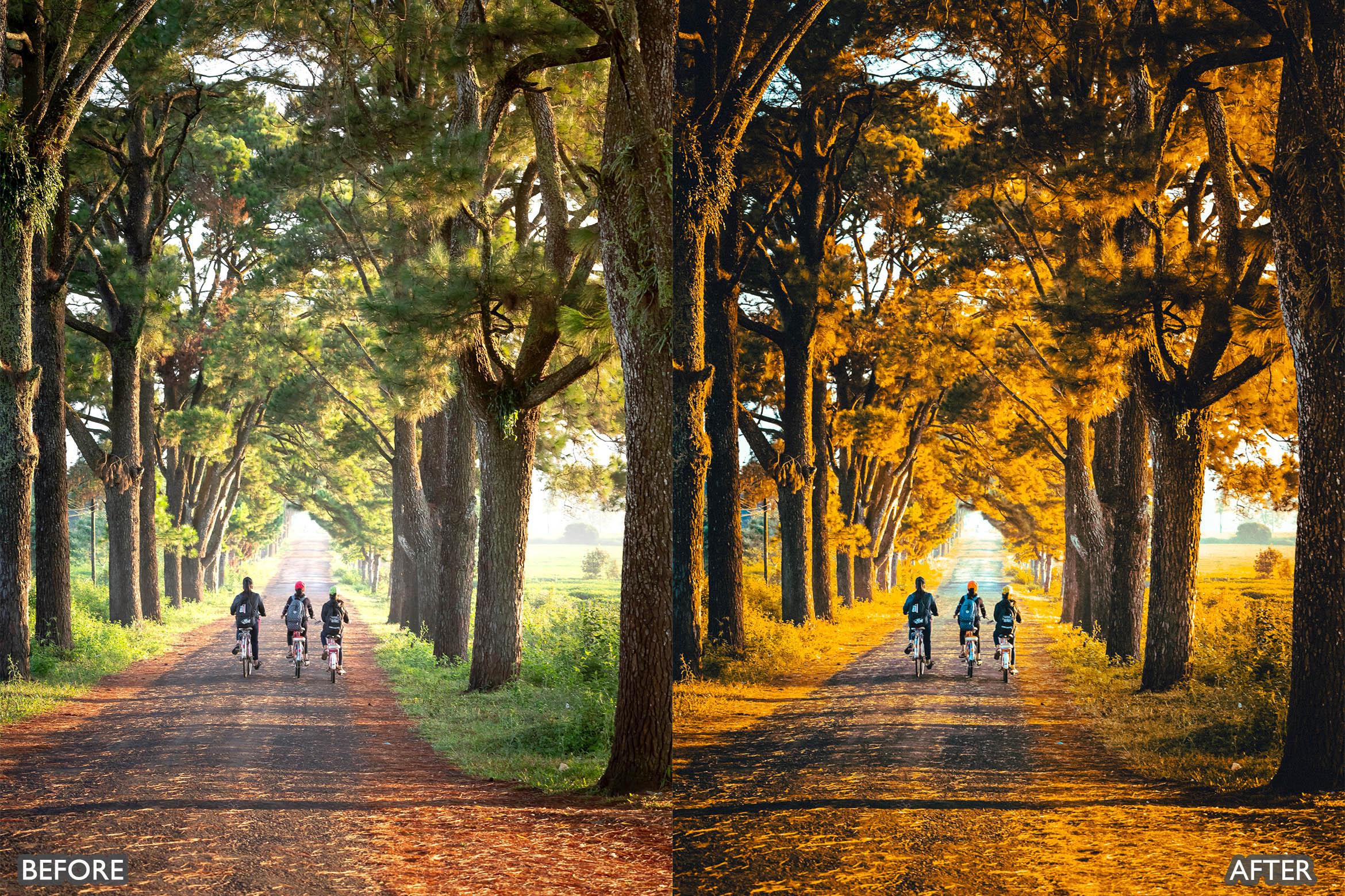 The Vibrant Fall Presets For Lightroom Autumn Photos - Lightroom Presets - by AAA Presets