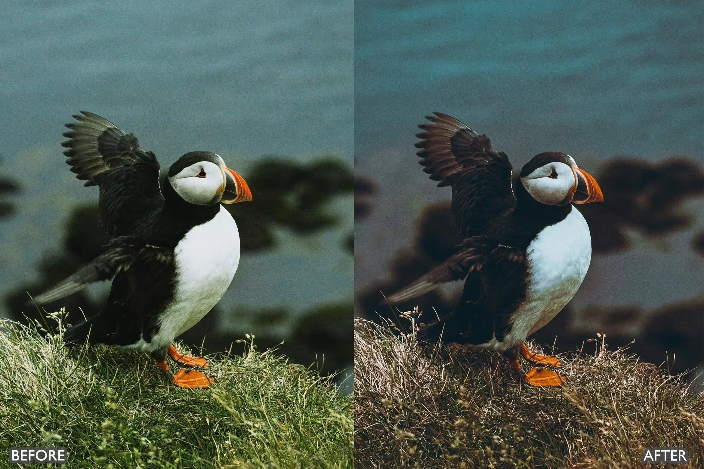 Travel Cinematic Lightroom Presets - Lightroom Presets - by AAA Presets