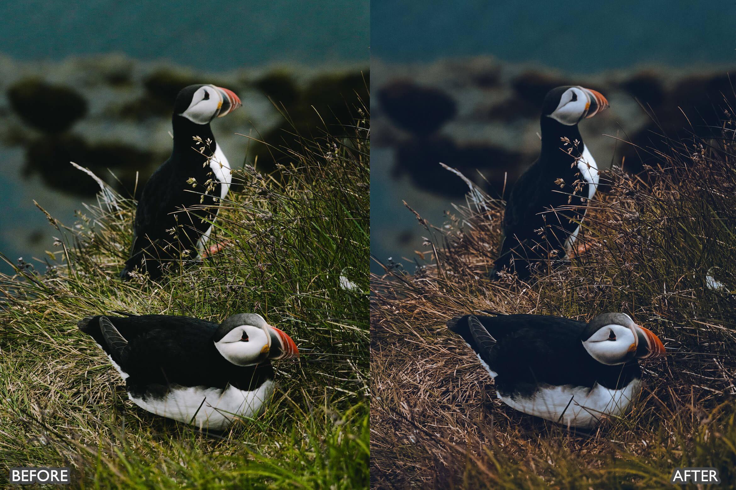 Travel Cinematic Lightroom Presets - Lightroom Presets - by AAA Presets