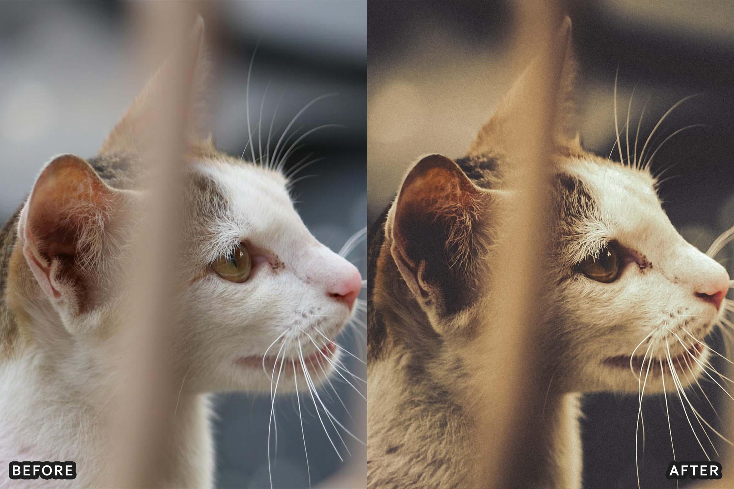 Urban Matte Black Lightroom Presets - Lightroom Presets - by AAA Presets