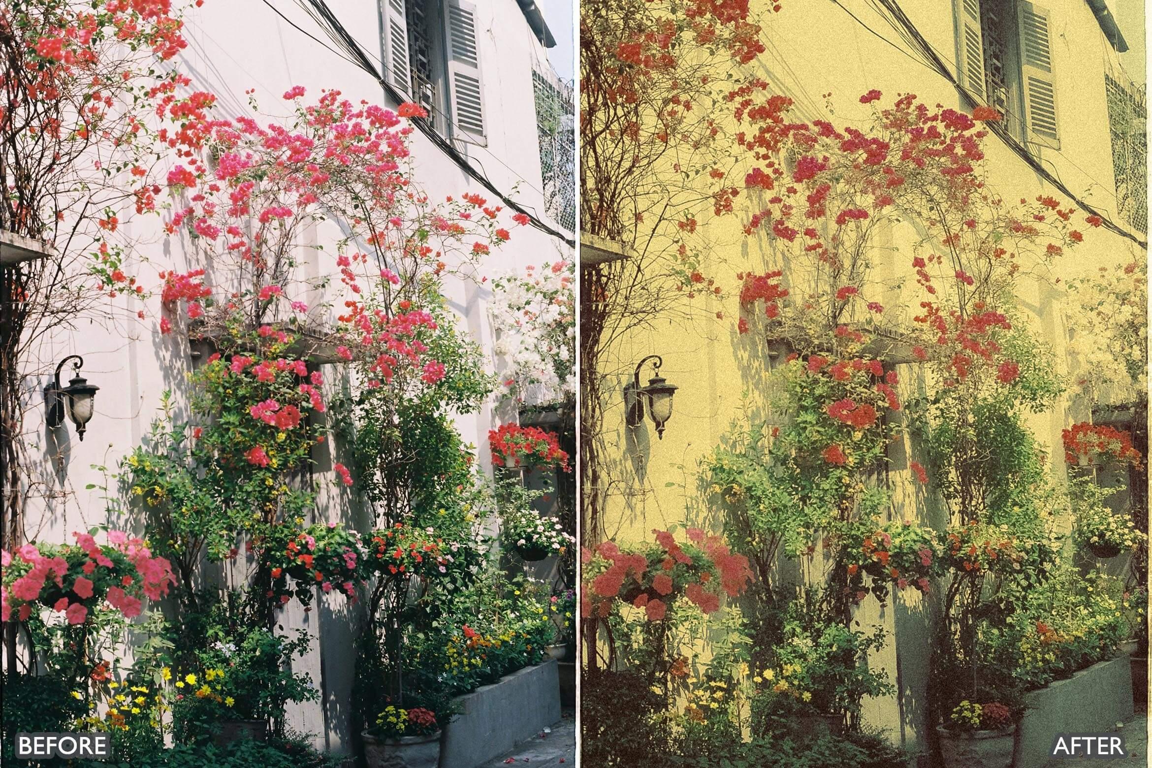 Vintage Retro Grain Film Look Lightroom Preset - Lightroom Presets - by AAA Presets