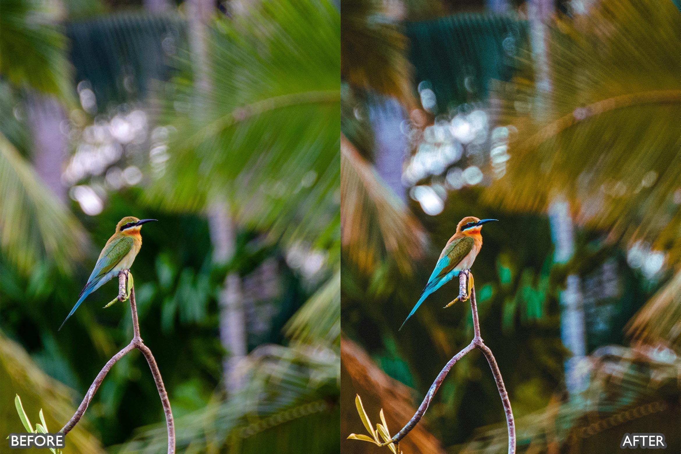 Wildlife Cinematic Lightroom Presets Pack - Lightroom Presets - by AAA Presets