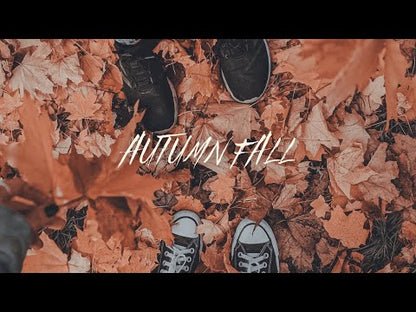 Autumn Fall Cinematic Premium Video LUTs