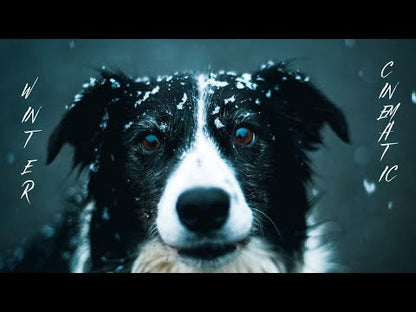 Cinematic Snow Winter Video LUTs