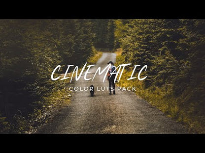 Professional Cinematic LUTs Pack